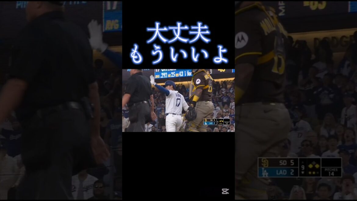 大谷翔平　元阪神のスアレスから報復死球に大人の対応　ドジャース陣営をなだめる　#shorts #大谷翔平　#shoheiohtani sho