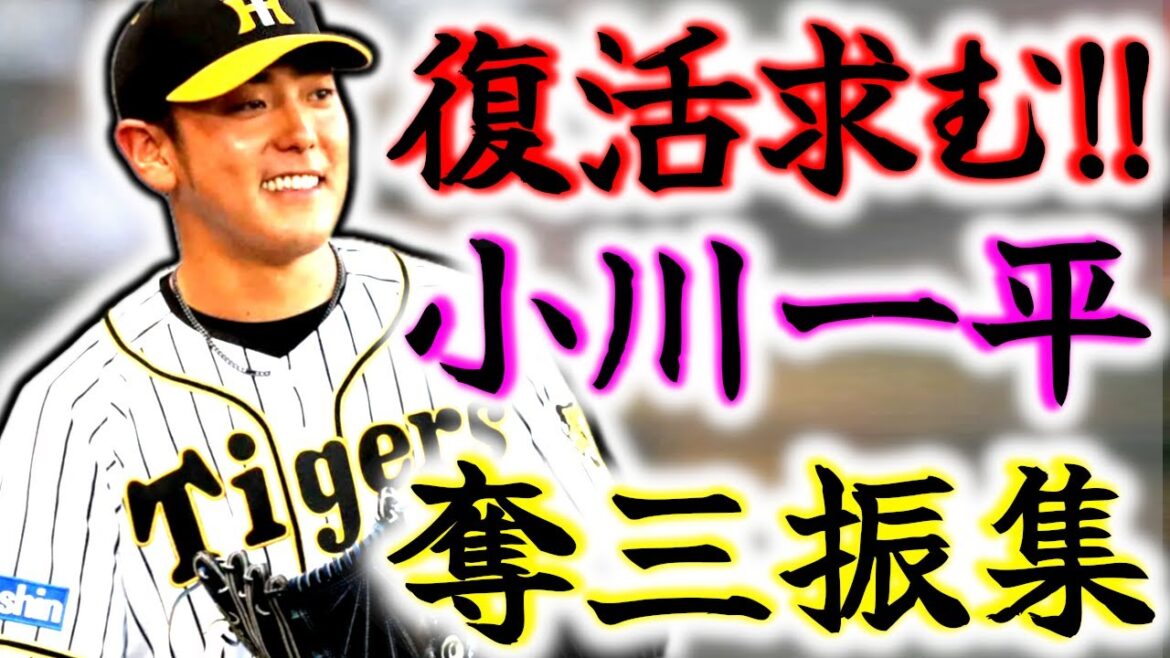 【復活祈願】小川一平 目を奪われる奪三振集!! トミージョン手術から復活期す逸材!! 【復活祈願】小川一平 目を奪われる奪三振集!! トミージョン手術から復活期す逸材!!