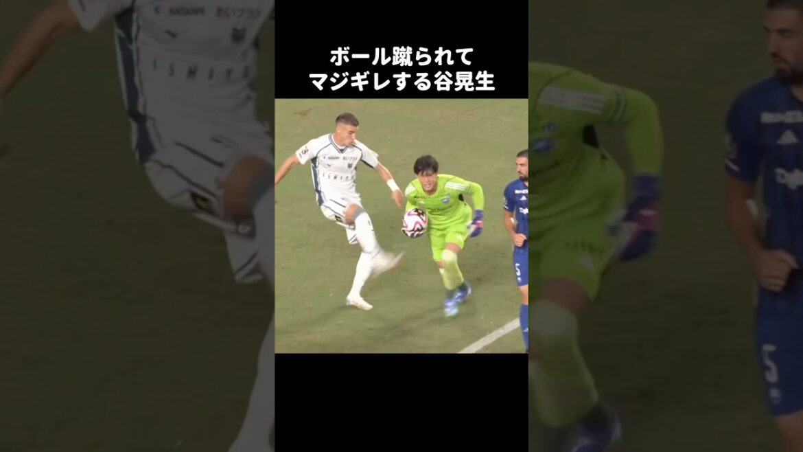 ボール蹴られてキレる谷晃生 #shorts #町田ゼルビア #jリーグ #サッカー