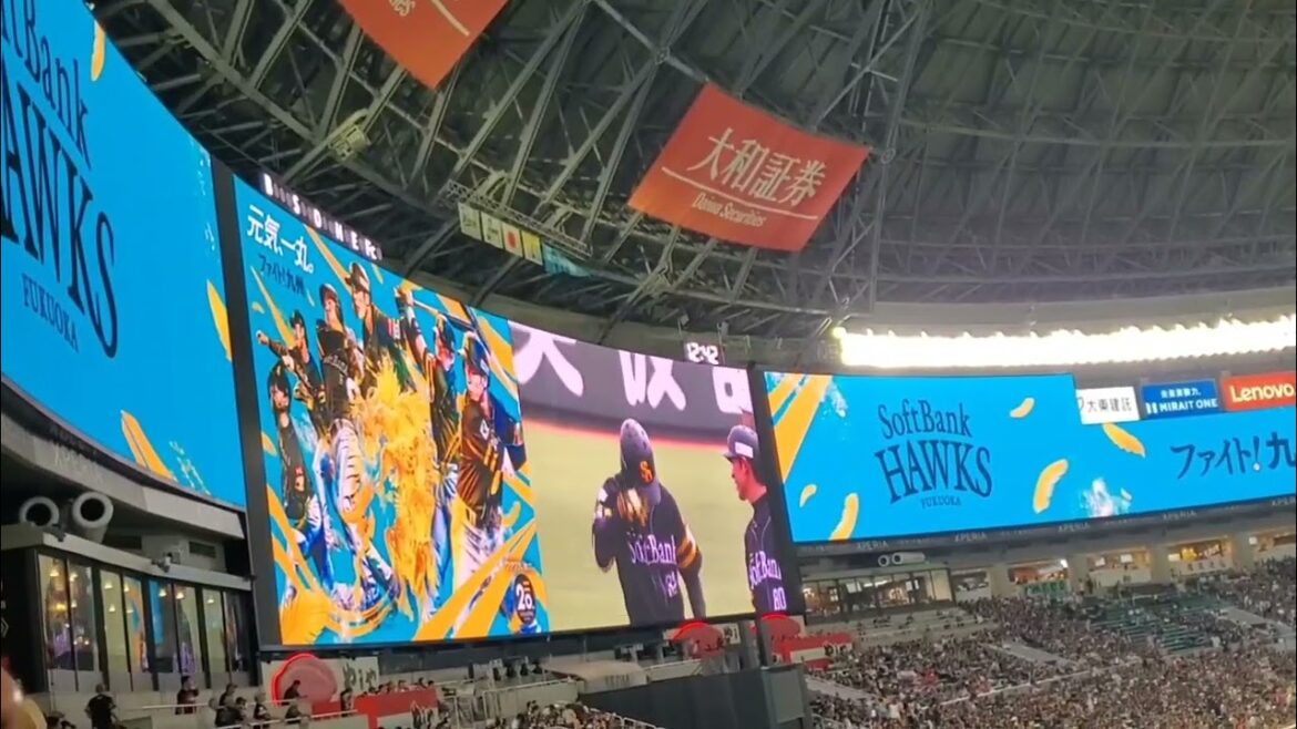 20250817　ファイト！九州2025　オリジナルムービー　福岡ｿﾌﾄﾊﾞﾝｸﾎｰｸｽ主催試合　AliAかくれんぼ@みずほPayPayﾄﾞｰﾑ福岡･ﾚﾌﾄ外野