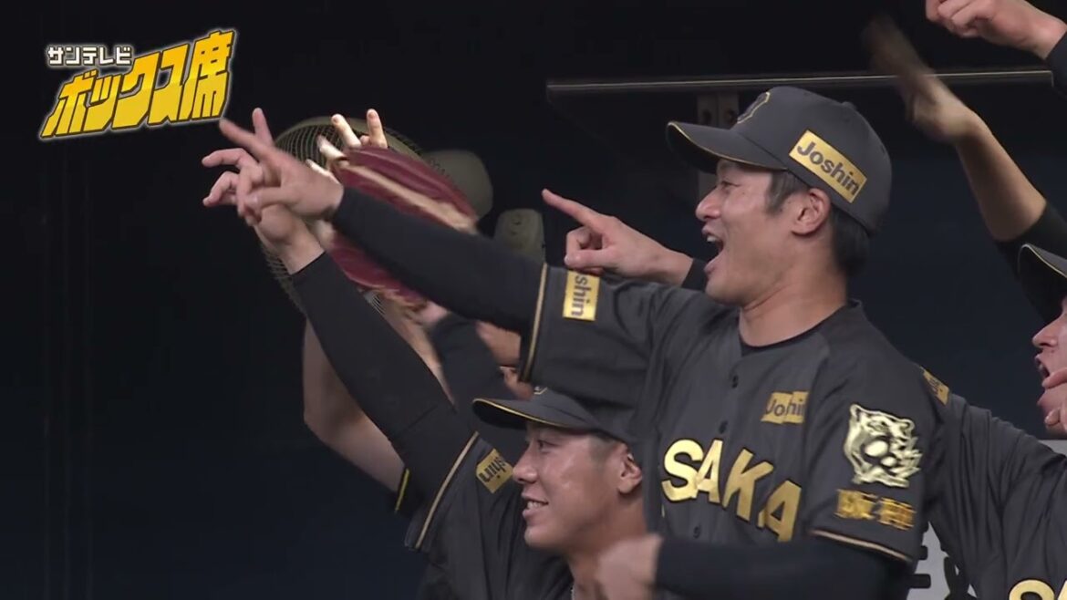 【初物づくし 】榮枝選手と井坪選手の活躍!(2025年8月19日 阪神ー中日) #サンテレビボックス席 【初物づくし 】榮枝選手と井坪選手の活躍!(2025年8月19日 阪神ー中日) #サンテレビボックス席