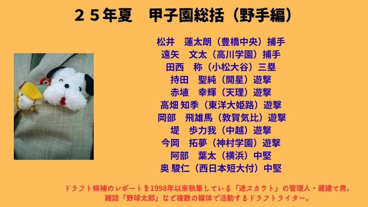 ２５年夏　甲子園総括（野手編）