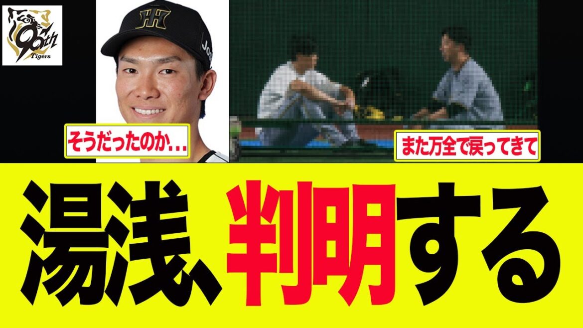 【阪神】湯浅の抹消理由が判明した件 阪神ファンの反応集 【阪神】湯浅の抹消理由が判明した件 阪神ファンの反応集