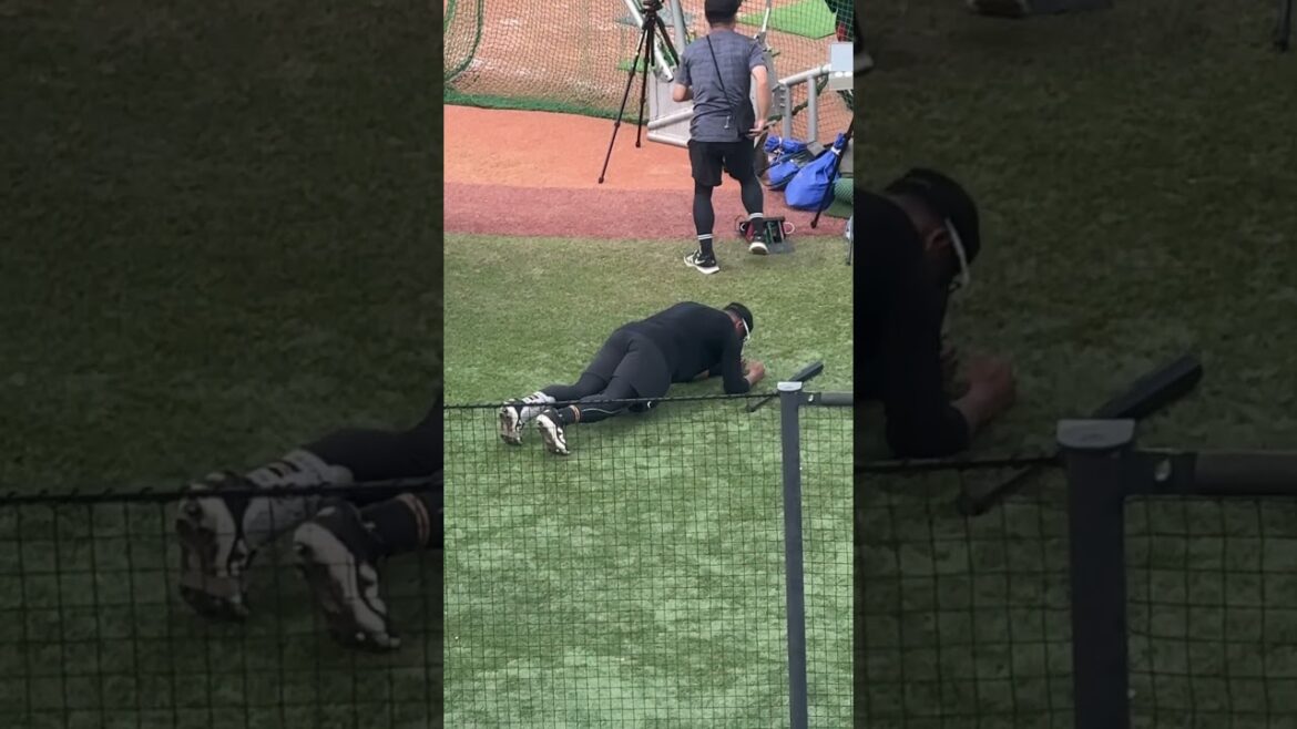 体幹を鍛えるエコエ選手 #オコエ瑠偉 #ジャイアンツ #巨人 #シュール #プロ野球 #baseball