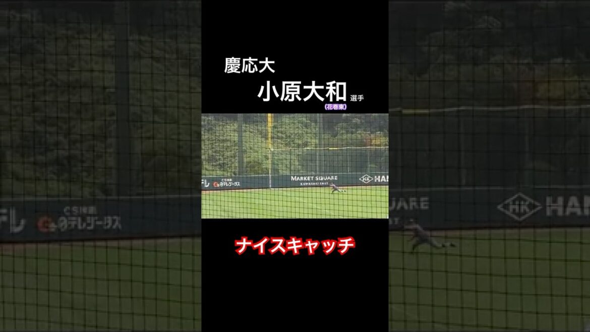慶応大　小原大和選手　ナイスキャッチ　プロアマ交流試合　慶応大vs巨人３軍
