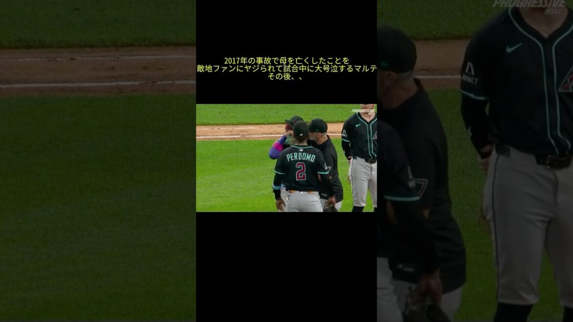 事故で亡くした母のことをヤジられて試合中に大号泣するマルテ→ファンから優しい声援　#MLB #大谷 #大谷翔平 #ドジャース