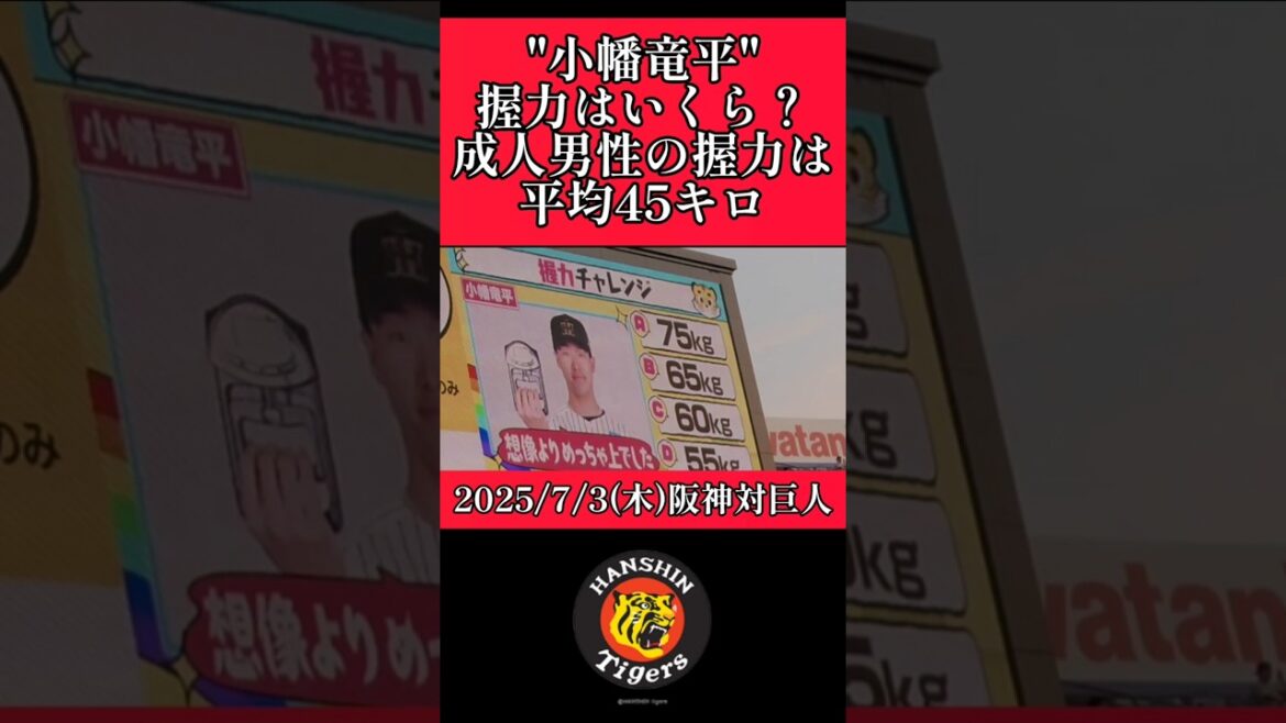 【阪神】"小幡竜平"プロ野球選手の握力！ #阪神 #阪神タイガース #小幡竜平 #shorts