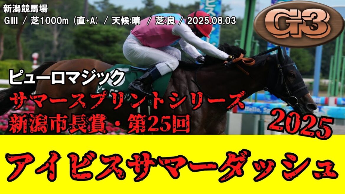 【競馬】 アイビスサマーダッシュ 2025 / ピューロマジック 【競馬】 アイビスサマーダッシュ 2025 / ピューロマジック