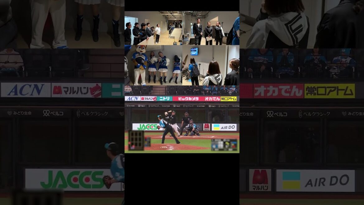 毎日一喜一憂できる仕事 / 毎日一喜一憂できる職場「パーソルカメラ」パ・リーグ裏側密着中！ #shorts