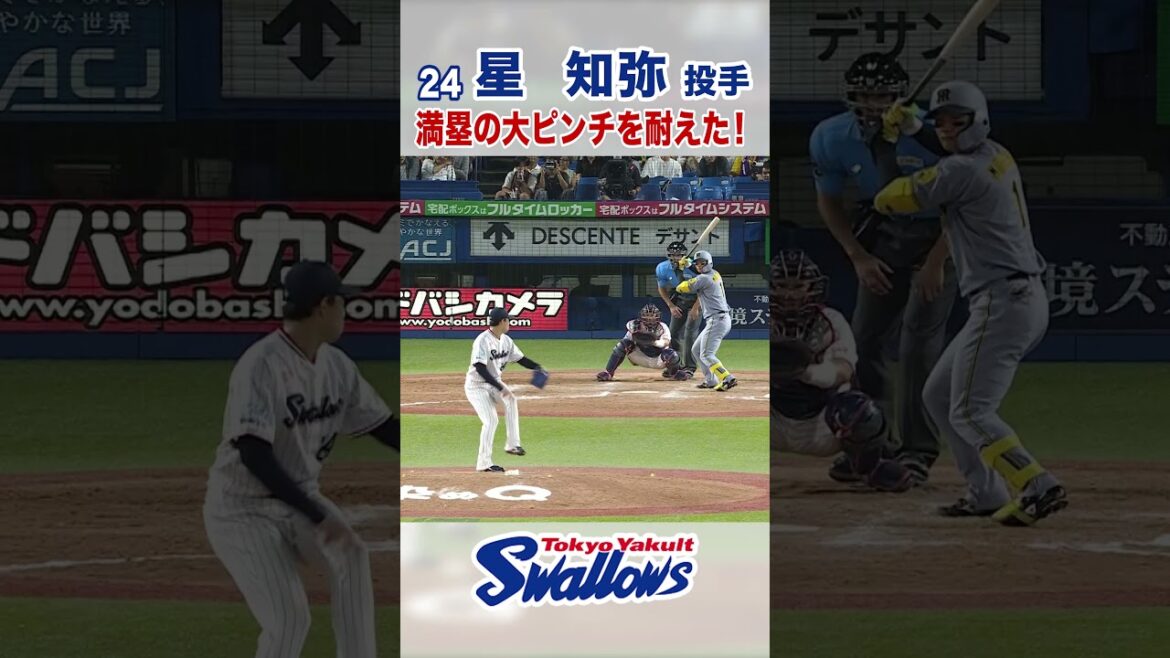 星知弥投手 満塁の大ピンチを耐えた！ #swallows #星知弥 #shorts
