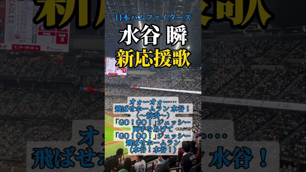 【水谷ジャンプ】新応援歌"水谷瞬"選手の応援歌です！ #NPB #水谷瞬 #北海道日本ハムファイターズ #応援歌