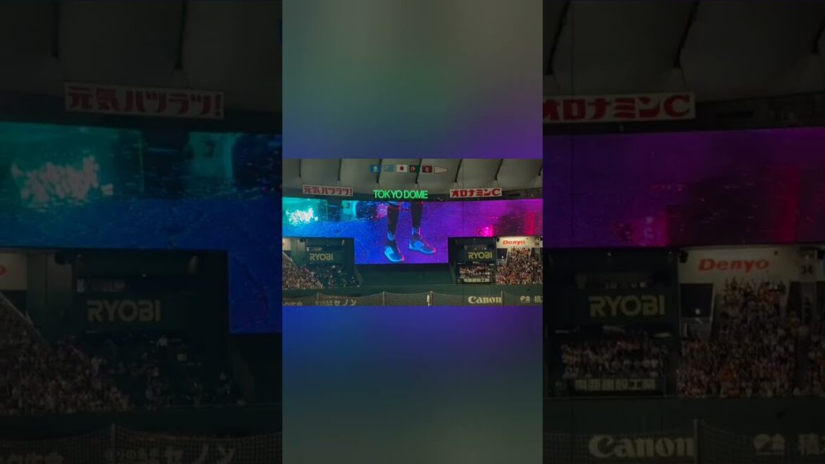 【Raidel Martinez】巨人 マルティネスの登場曲@東京ドーム