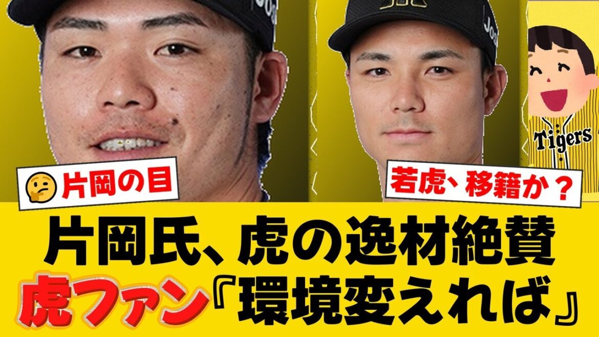 元中日2軍監督・片岡篤史氏が「環境を変えれば活躍する」と語った阪神の選手とは?小野寺暖と榮枝裕貴のポテンシャルを絶賛!【阪神ファンの反応】【T速報】 元中日2軍監督・片岡篤史氏が「環境を変えれば活躍する」と語った阪神の選手とは?小野寺暖と榮枝裕貴のポテンシャルを絶賛!【阪神ファンの反応】【T速報】