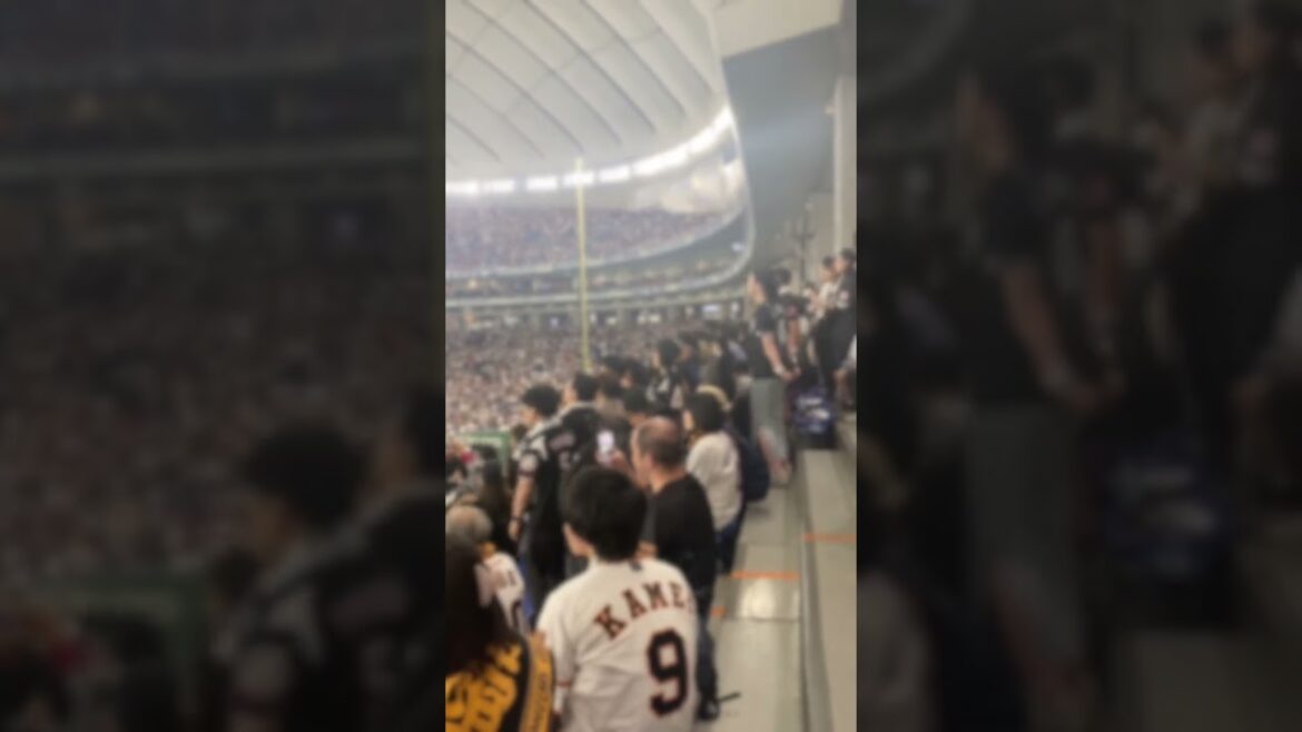 【ロッテ応援】東京ドーム壊れちゃう！中村奨吾応援歌(2024.6.5東京ドーム) #千葉ロッテマリーンズ #中村奨吾