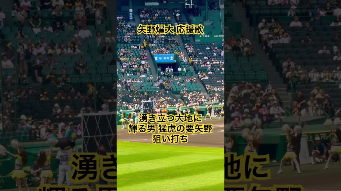 #矢野燿大 応援歌 限定復刻 阪神タイガースレジェンズDay #阪神タイガース #甲子園 #プロ野球