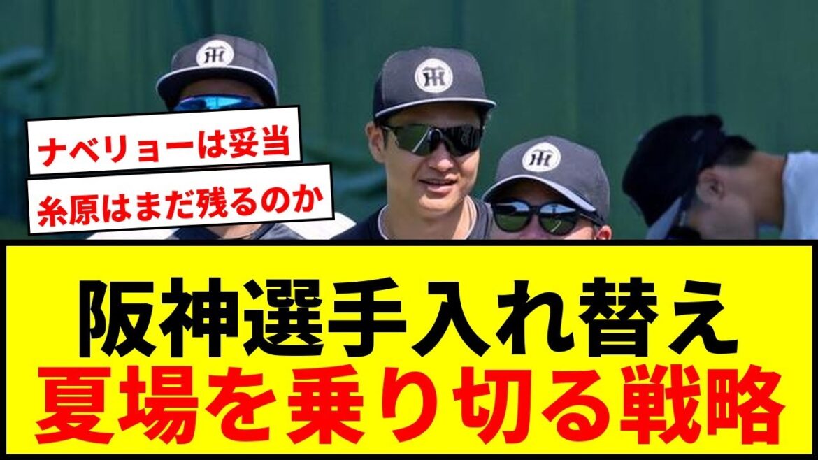 【速報】阪神が選手入れ替え！村上・ヘルナンデス登録、大竹・渡辺抹消で夏場を乗り切る！