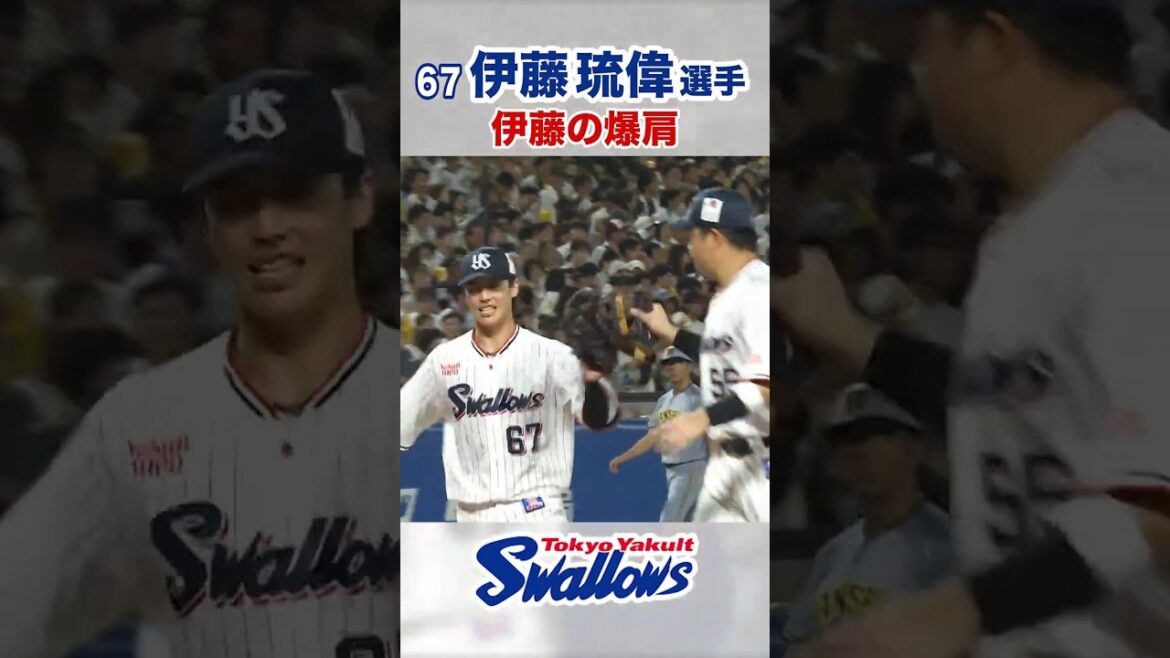 伊藤琉偉選手 伊藤の爆肩 #swallows #伊藤琉偉 #shorts