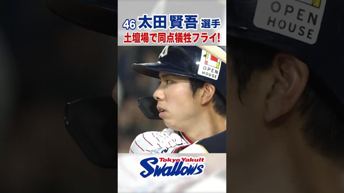 太田賢吾選手 土壇場で同点犠牲フライ！ #swallows #太田賢吾 #shorts