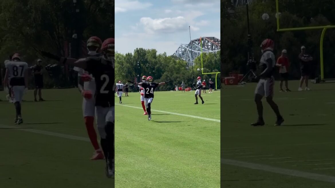 Marco Wilson with coverage on Tee Higgins deep route Wednesday on go ball from Joe Burrow Marco Wilson with coverage on Tee Higgins deep route Wednesday on go ball from Joe Burrow