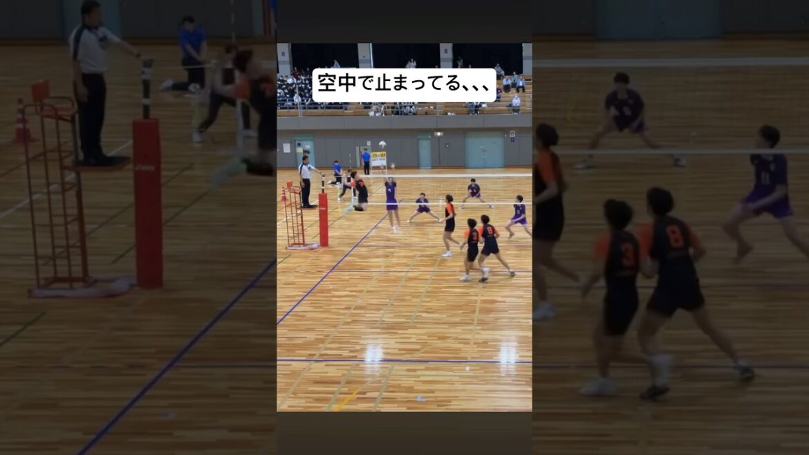 空中で一瞬止まってる！？鈴木美煌スパイク#鈴木美煌 #法政大学 #バレーボール #筋トレ #ダイエット #スパイク #shorts #ジャンプ力 #男子バレー #motivation