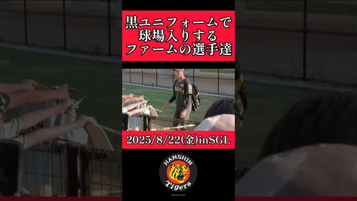 【阪神】ファームでもブラックユニフォーム披露！ #阪神 #阪神タイガース #shorts