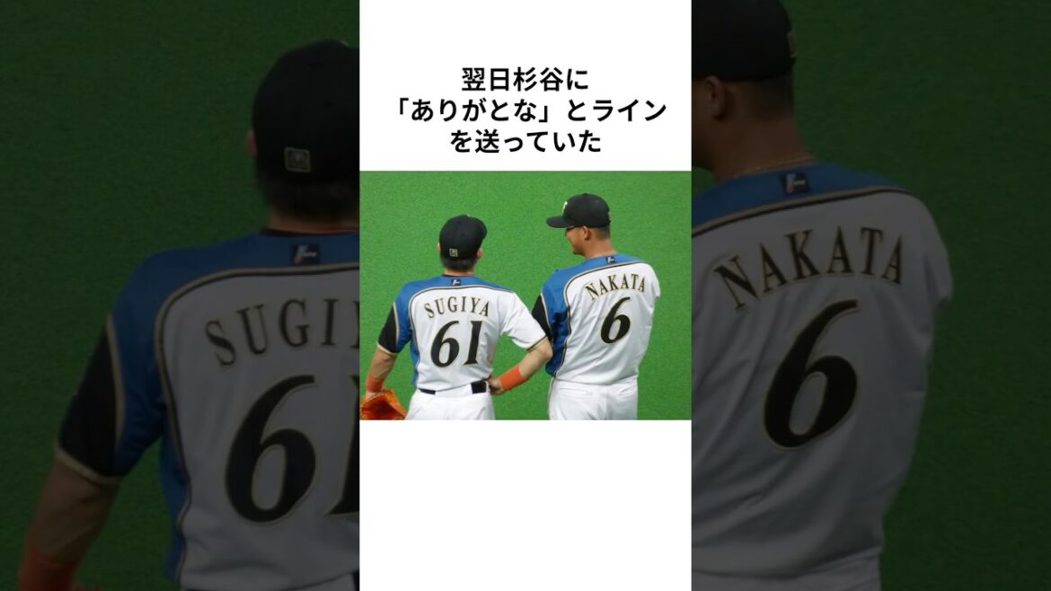 さよなら中田翔　仲間と歩んだ野球人生に関する雑学＃中田翔＃日本ハムファイターズ＃中日ドラゴンズ＃プロ野球