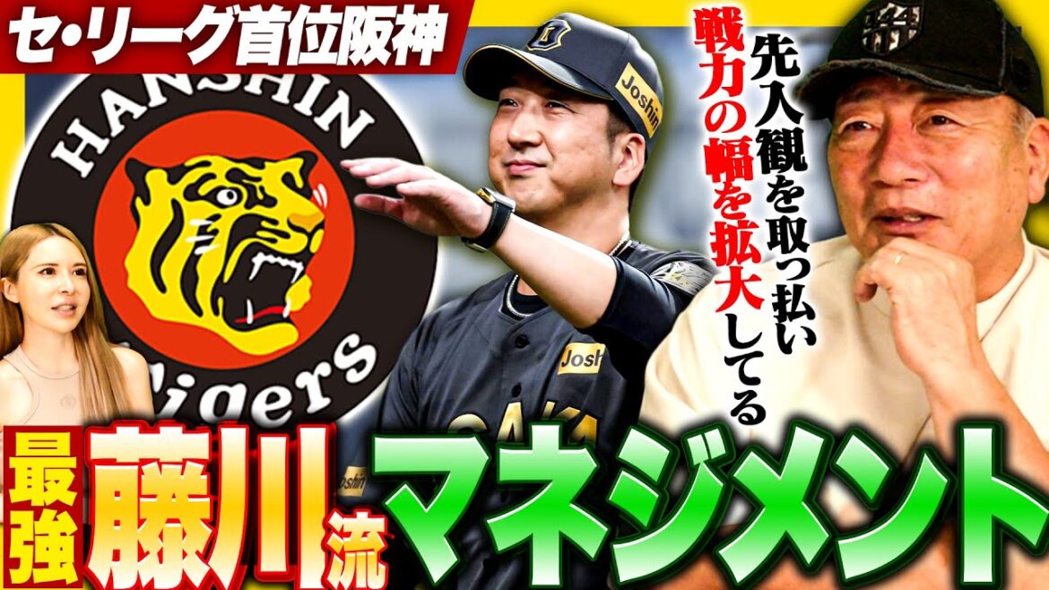 【藤川監督の手腕】この時期に若手を使う理由は？選手起用に藤川監督流のマネジメントが隠されている⁉︎藤川阪神について語ります【プロ野球】