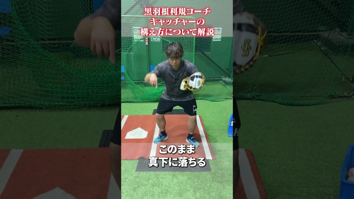 キャッチャーの構え方について🔥 #黒羽根利規  #野球