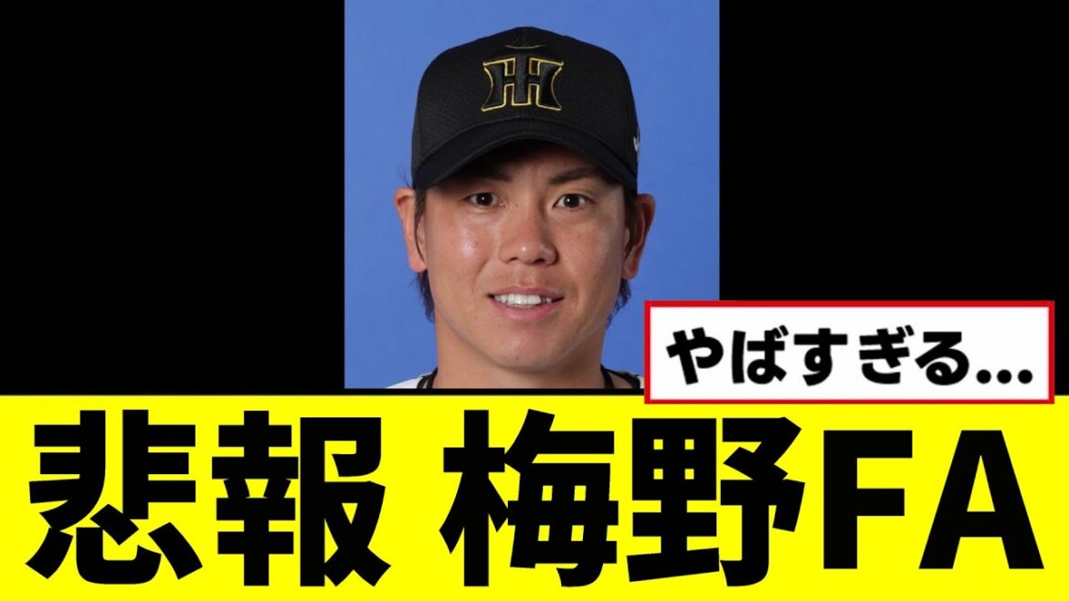 【阪神】梅野がFAしてしまう...