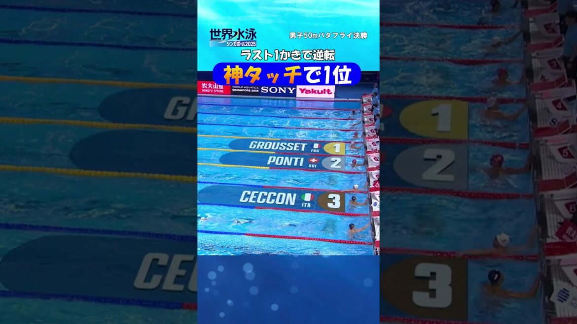 神タッチでグルセ選手優勝！男子50mバタフライ決勝 #競泳 #世界水泳