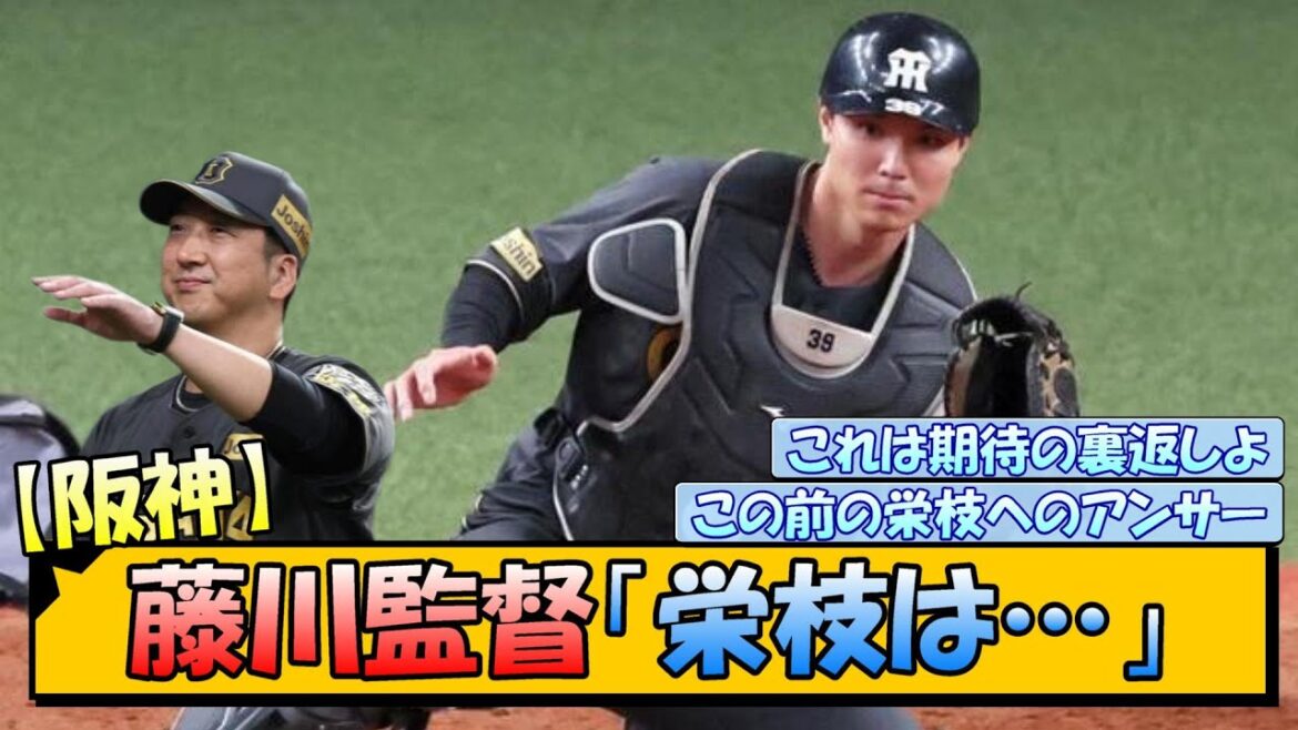 【阪神】藤川監督「栄枝は…」