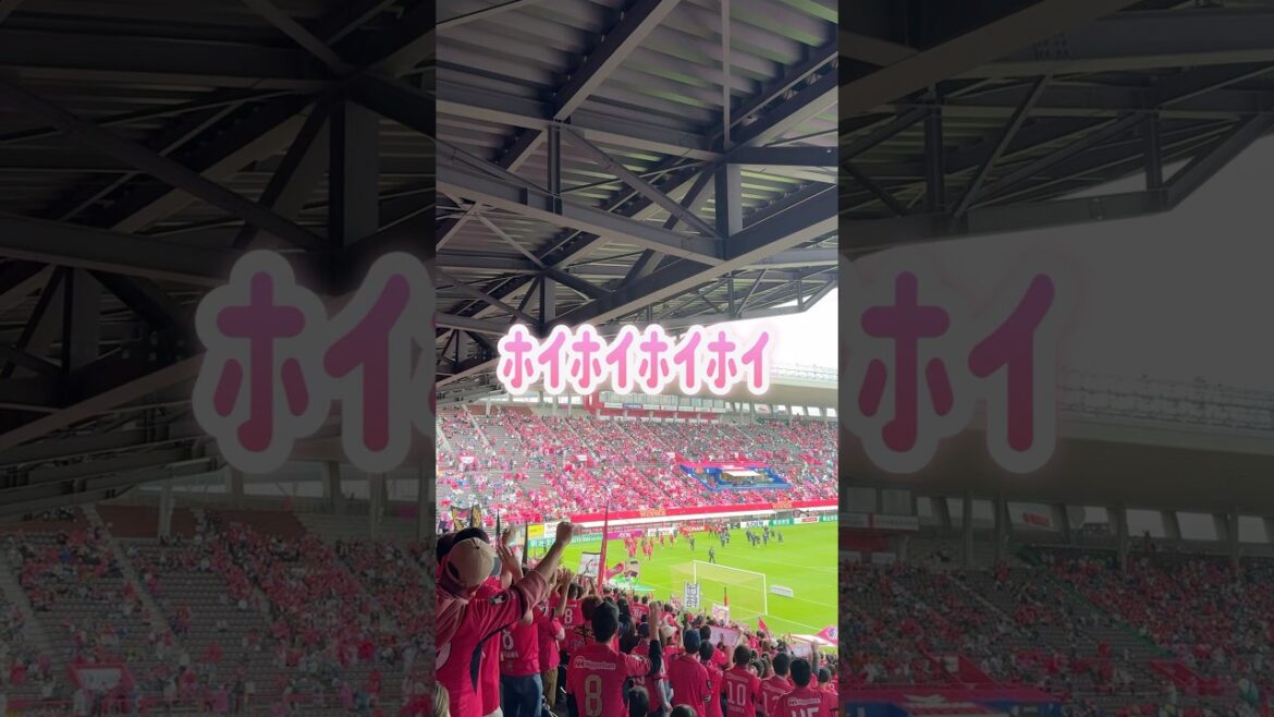 みんなもう覚えた？🇧🇷🎶📣🌸 #セレッソ大阪 #応援歌 #ラファエルハットン #ポルトガル語