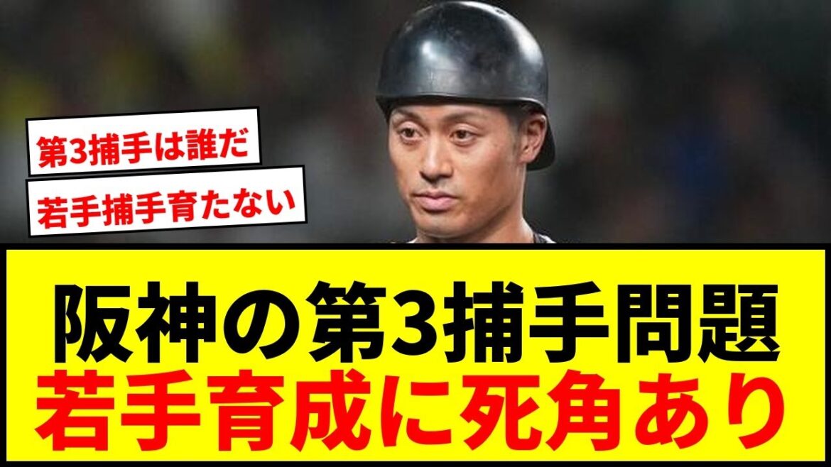 【衝撃】藤川阪神の「第3捕手問題」が話題!坂本・梅野に次ぐ人材は?若手育成の死角とは 【衝撃】藤川阪神の「第3捕手問題」が話題!坂本・梅野に次ぐ人材は?若手育成の死角とは