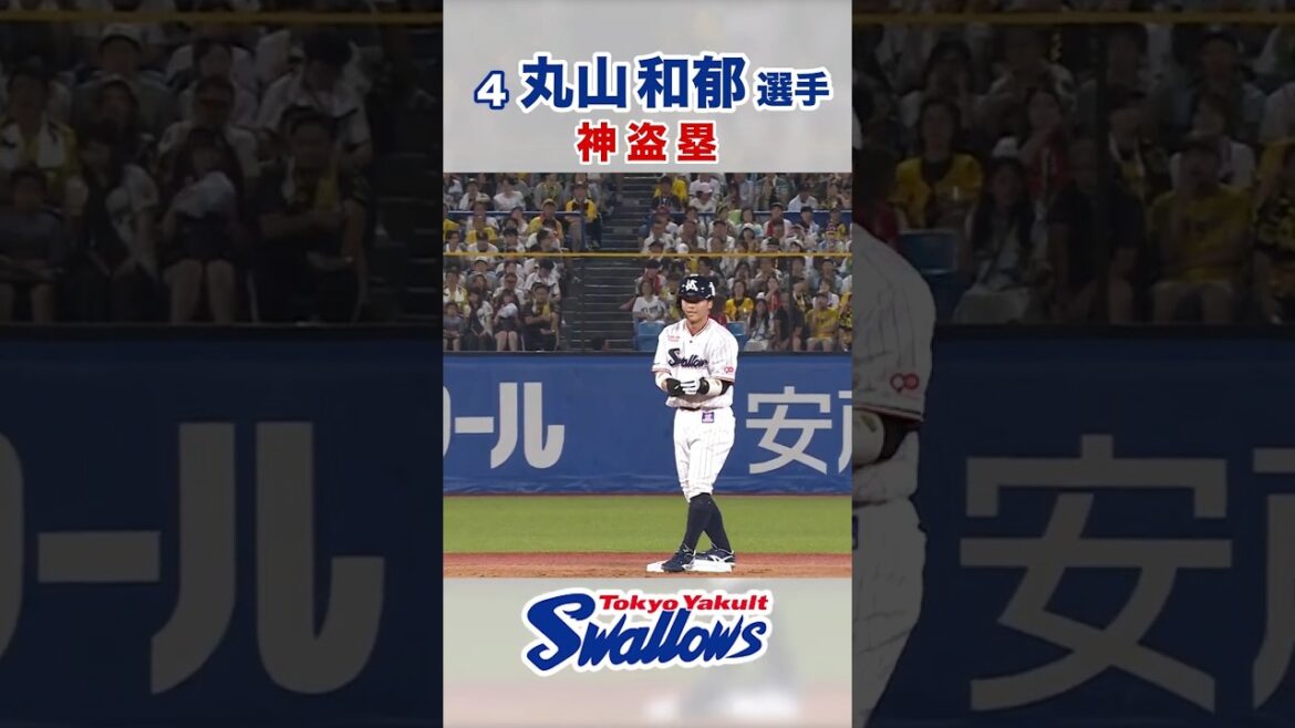 丸山和郁選手 神盗塁 #swallows #丸山和郁 #shorts