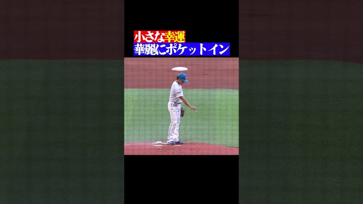 突如舞い込んだ小さな幸運…すぐさまポケットへ #shorts