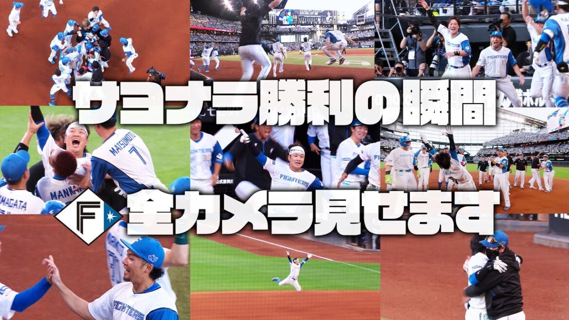 【全カメラ見せます】8月24日 延長10回 サヨナラ勝利の瞬間🎉【 #大航海は続く 】