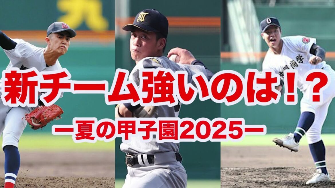 【高校野球】夏の甲子園が終わり新チーム始動⁉️仙台育英や沖縄尚学の新チームが強すぎる