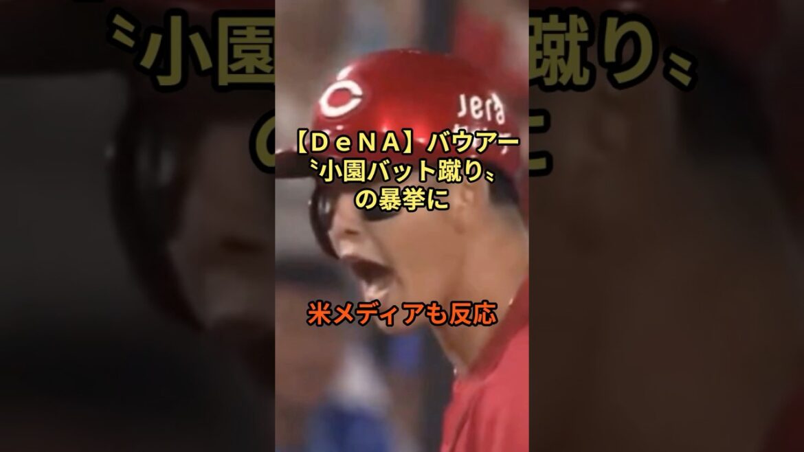 DeNAバウワー、小園バット蹴りの暴挙に… #メジャーリーグ #横浜denaベイスターズ  #広島東洋カープ  #プロ野球