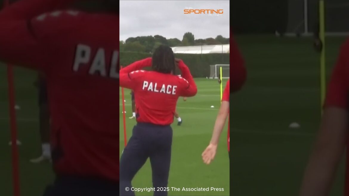 プレイヤーは常に100パーセントの力を発揮すべきでしょうか?