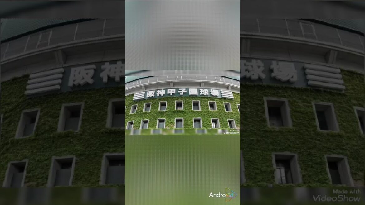 U-18日本代表 発表! 高校野球全日本代表! #高校日本代表 #U18 #小倉監督 U-18日本代表 発表! 高校野球全日本代表! #高校日本代表 #U18 #小倉監督