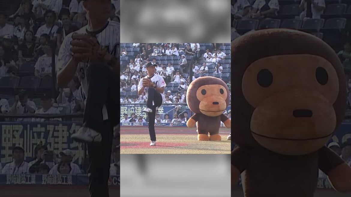 往年のサブマリンは健在！渡辺俊介さんのファーストピッチ #chibalotte