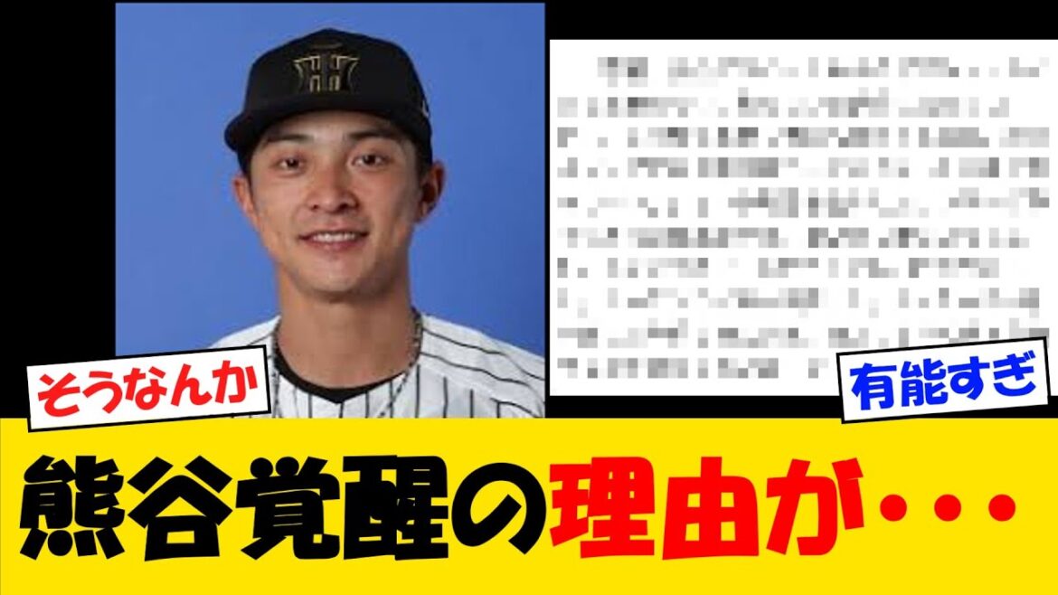 【ついに】熊谷の覚醒、あるコーチの存在が明らかになるｗｗ【野球情報】【2ch 5ch】【なんJ なんG反応】【野球スレ】