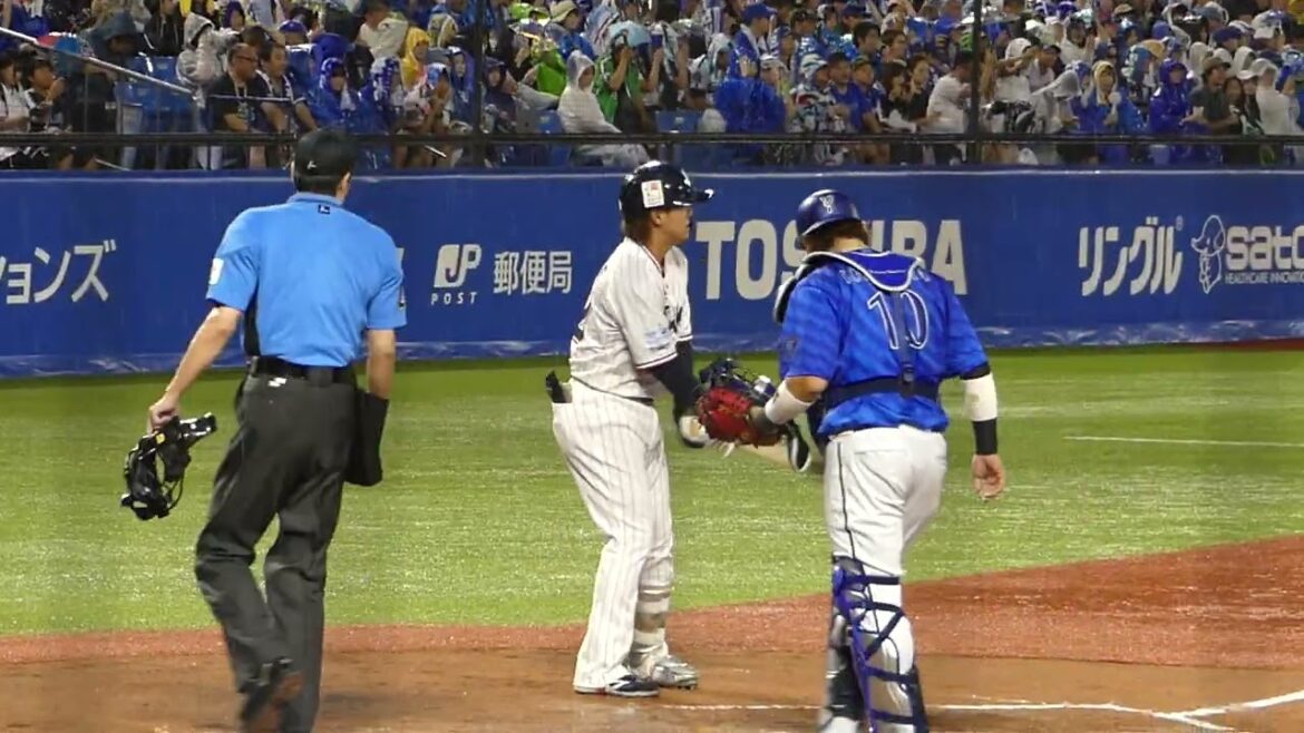 2025年8月12日 東京ヤクルト・赤羽 由紘 選手の打席入り（ボールデッド中）