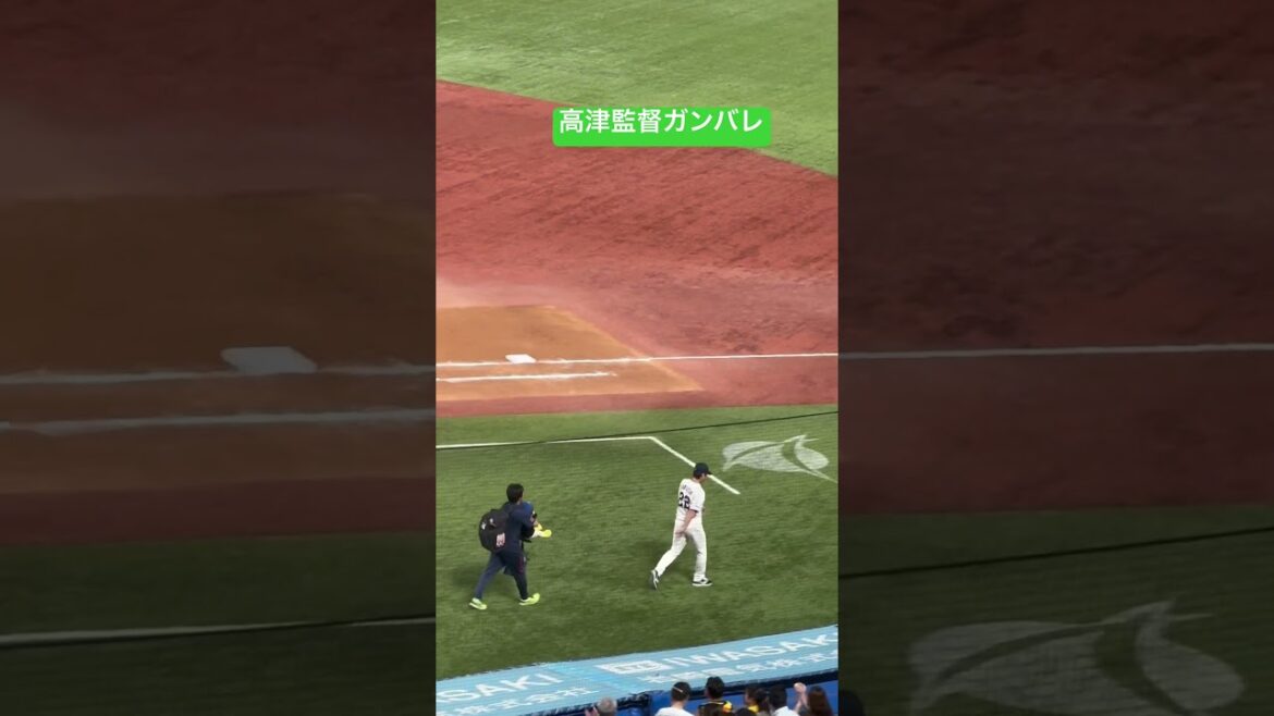 高津臣吾監督ガンバレ！ヤクルトスワローズ