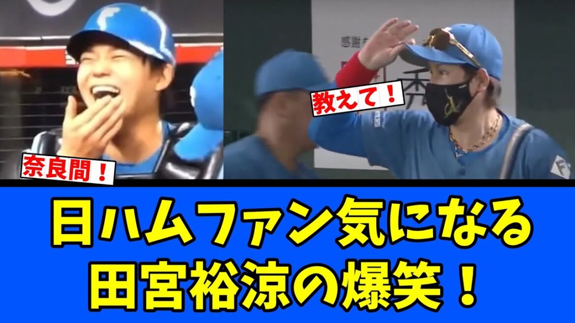 【ww】日ハムファン気になる!田宮裕涼ナゼウケる! 【ww】日ハムファン気になる!田宮裕涼ナゼウケる!