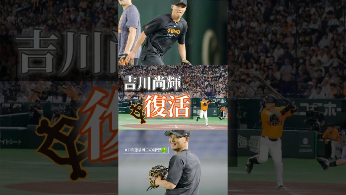 【変わらぬ姿】吉川尚輝が１軍復帰！試合前練習の様子を追いかけてみた【報知プロ野球チャンネル】♯吉川尚輝 ♯巨人