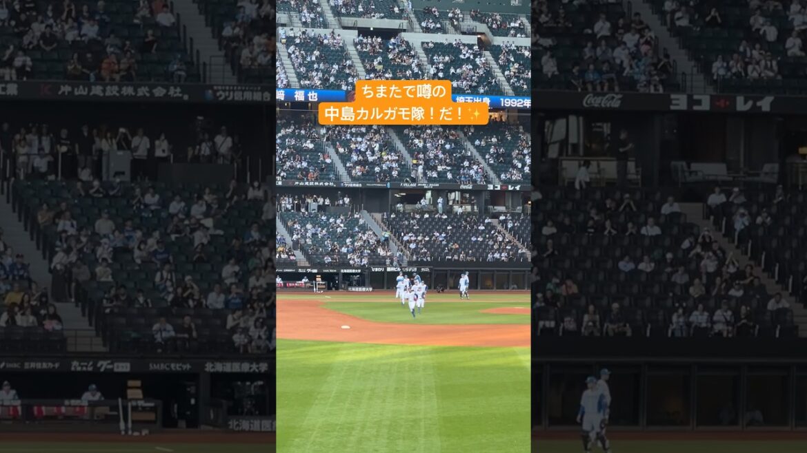 【日ハム】中島卓也カルガモ隊だ！…と思ったら【ファイターズ】 #lovefighters #shorts