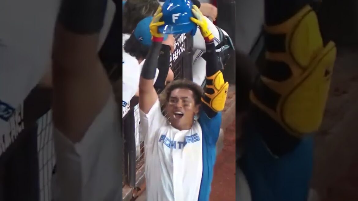 接戦を制し4連勝🔥8月20日 #lovefighters #エスコンフィールドhokkaido #レイエス