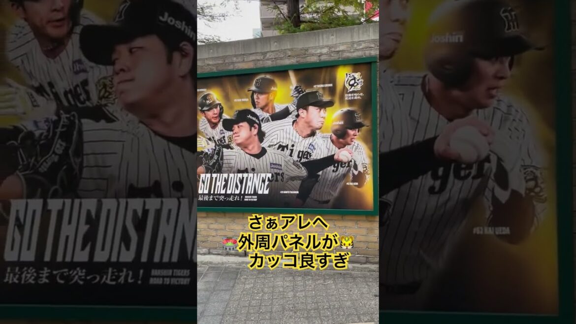 # #阪神タイガース #阪神甲子園球場 #近本光司#中野拓夢#森下翔太#佐藤輝明#大山悠輔#髙寺望夢#坂本誠志郎#小幡竜平#才木浩人#藤川球児 #糸原健斗 #梅野隆太郎 #阪神 #甲子園 #アレ