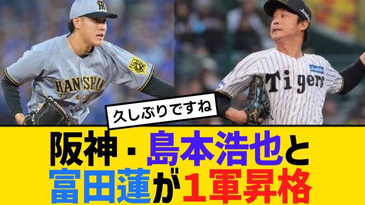 阪神・島本浩也と富田蓮が１軍昇格へ【野球】【反応】【考察】